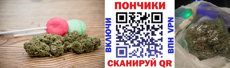 что такое   Томск  Cannafood конопля 