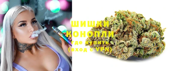 прущие грибы Каменка