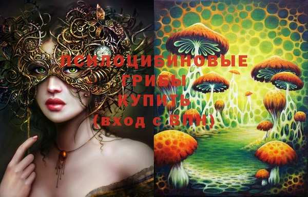 прущие грибы Каменка