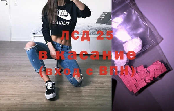 прущие грибы Каменка