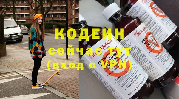прущие грибы Каменка