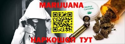 сатива Можга
