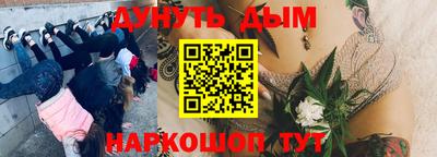 прущие грибы Можайск