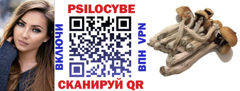 Галлюциногенные грибы Cubensis где купить наркоту Томск