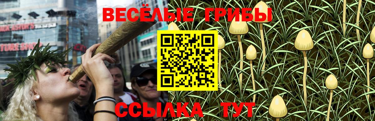 Томск  Псилоцибиновые грибы GOLDEN TEACHER  Вход с VPN  Псилоцибиновые грибы Psilocybe 